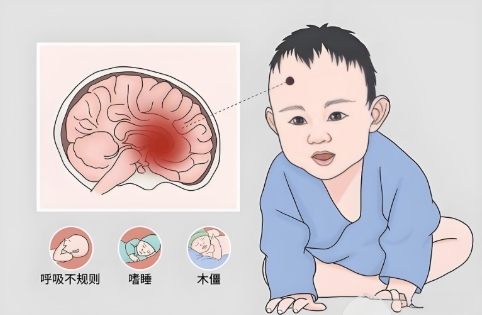 С�����񾭼���